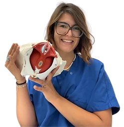 Modello anatomico del pavimento pelvico